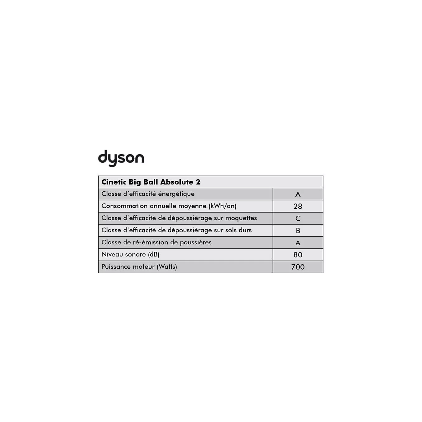 Aspirateur sans sac DYSON Cinetic Big Ball Absolute 2