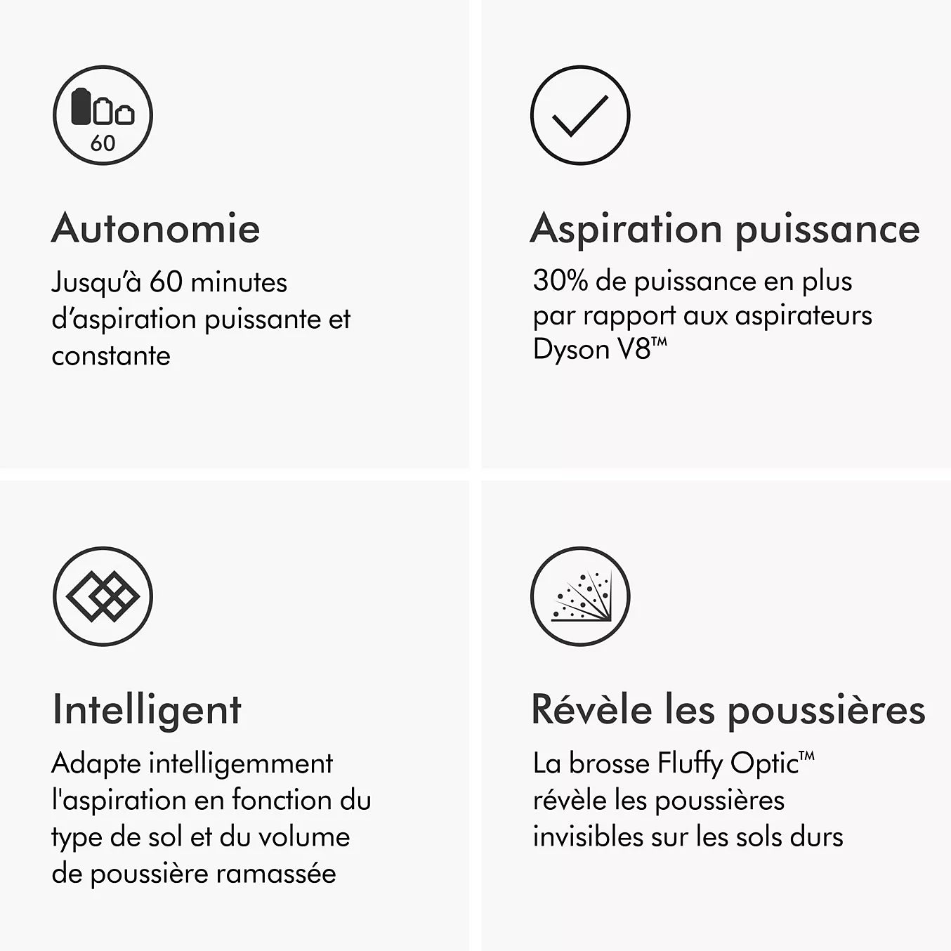Aspirateur balai DYSON V12 Detect Slim Absolute
