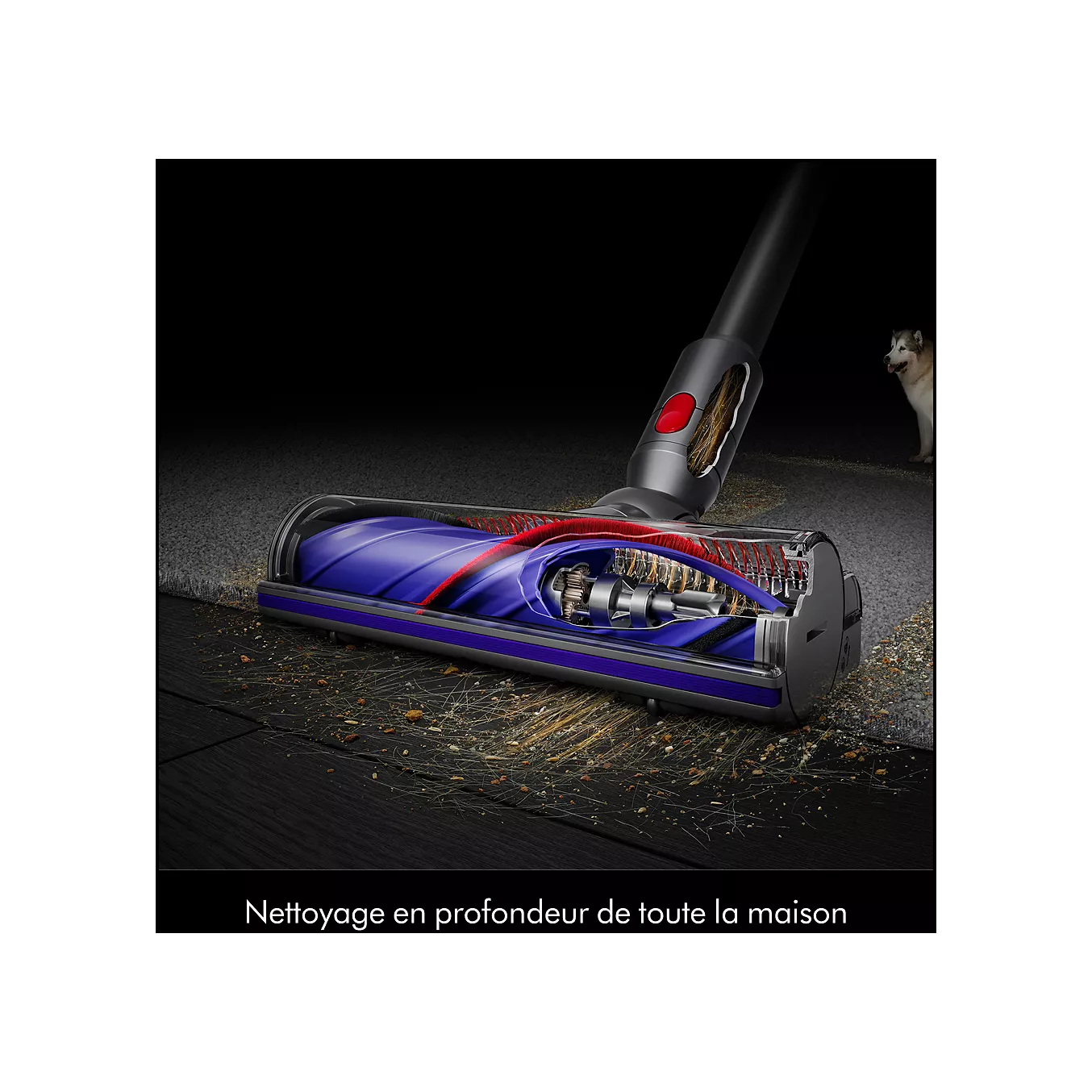 Aspirateur balai DYSON V10 Cyclone Submarine