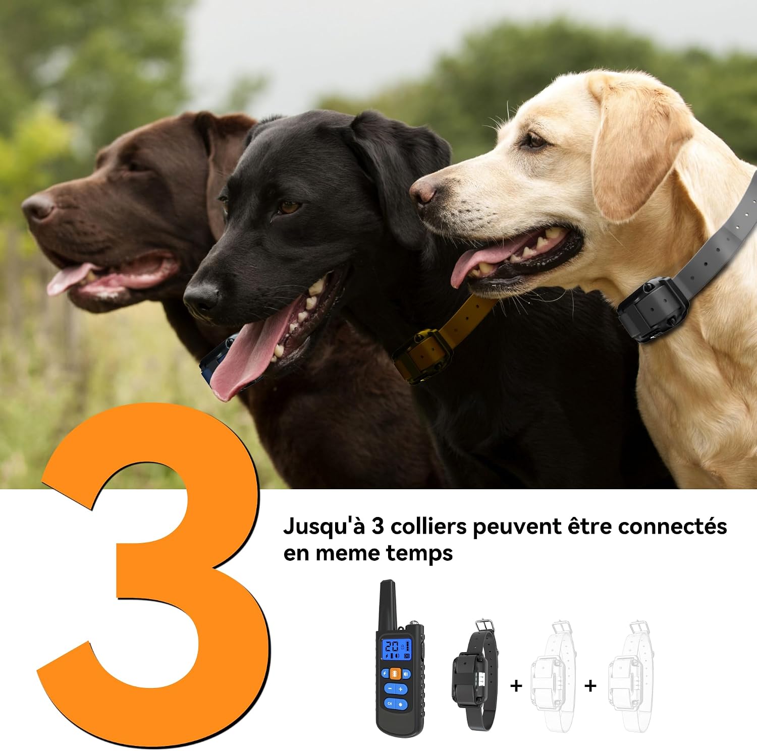 Meloive Rechargeable Dog Training Collar, Range of 3000 m, with Vibration Mode, Sound, Static Shock and Light, IPX67 Water Resistant, Suitable for Small and Medium Dogs