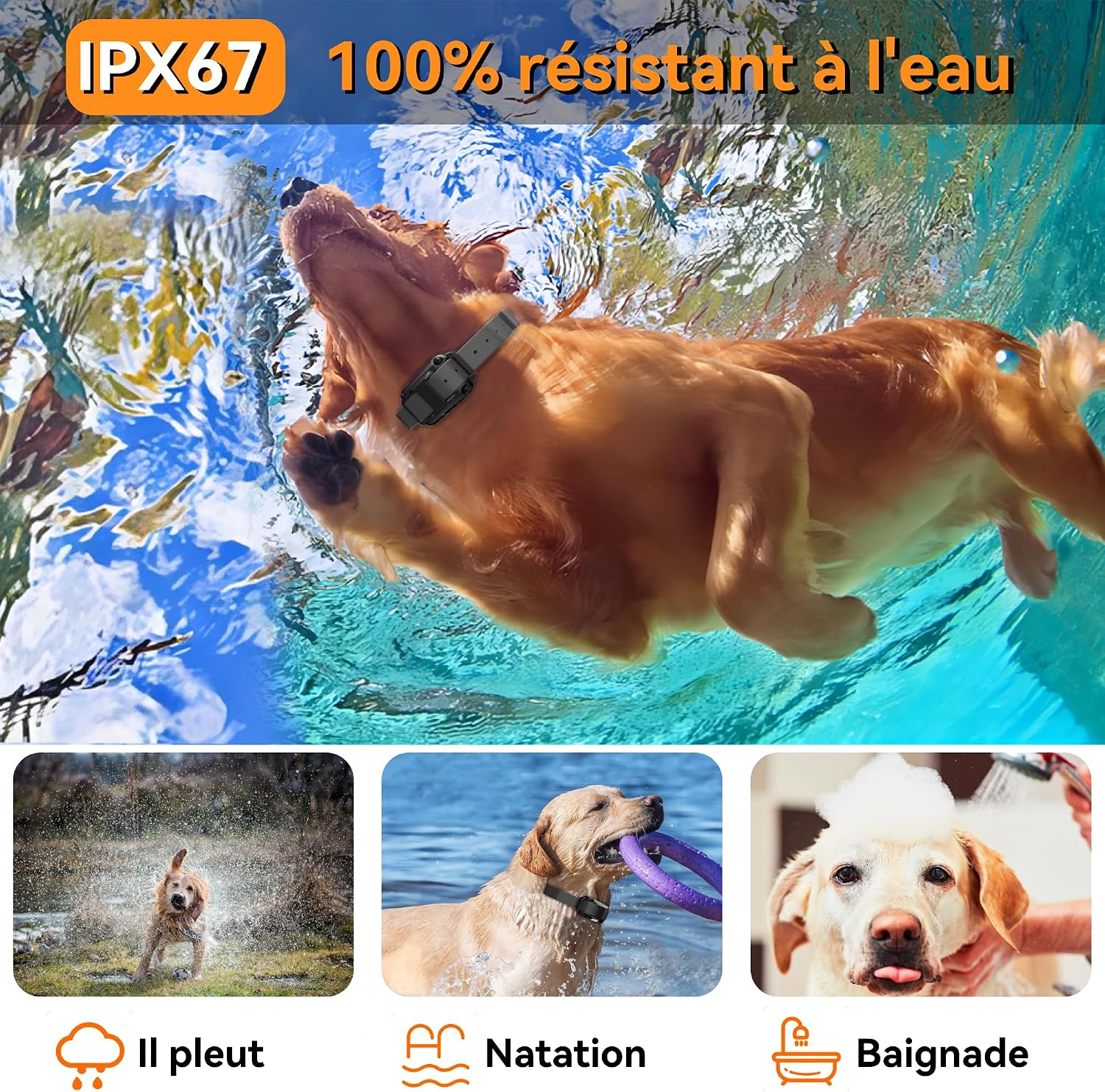Meloive Rechargeable Dog Training Collar, Range of 3000 m, with Vibration Mode, Sound, Static Shock and Light, IPX67 Water Resistant, Suitable for Small and Medium Dogs